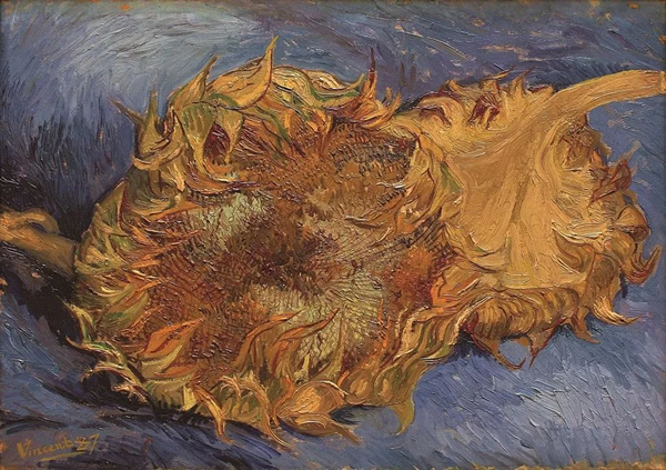 《向日葵》1887