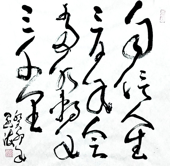 1708773702289635.jpg