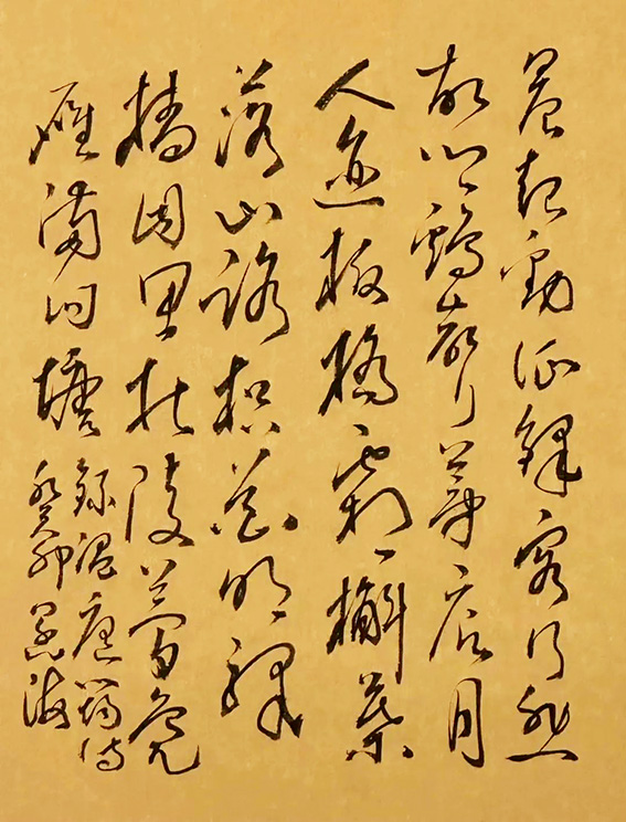 1708773704631769.jpg